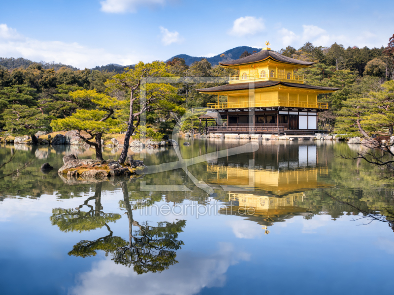 frei wählbarer Bildausschnitt für Ihr Bild auf Leinwand