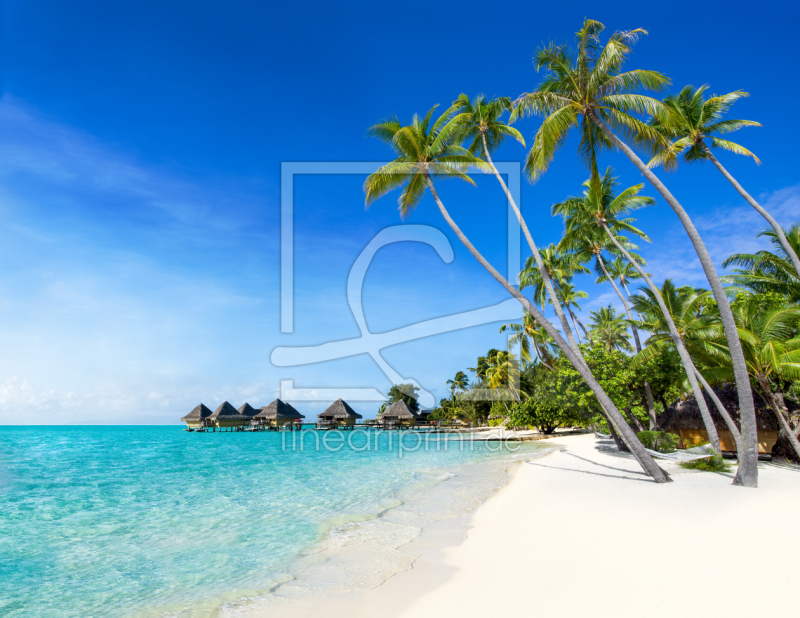 frei wählbarer Bildausschnitt für Ihr Bild auf Leinwand