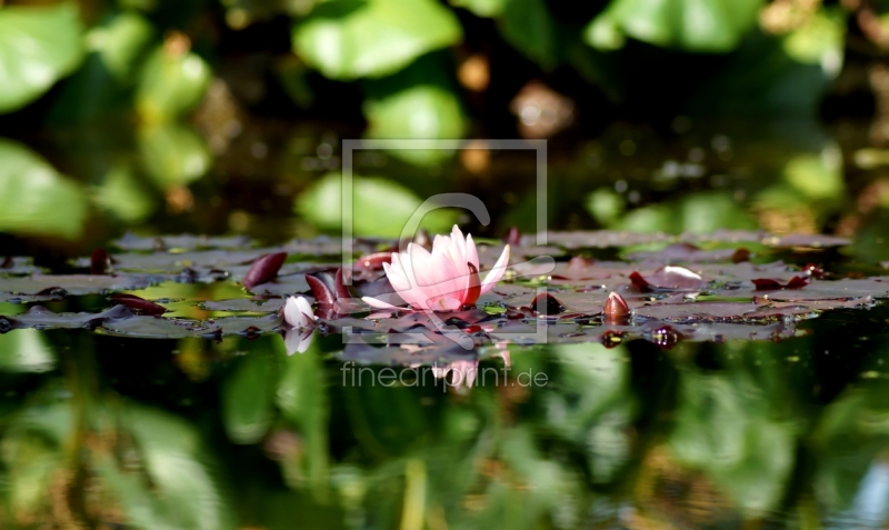 frei wählbarer Bildausschnitt für Ihr Bild auf Leinwand