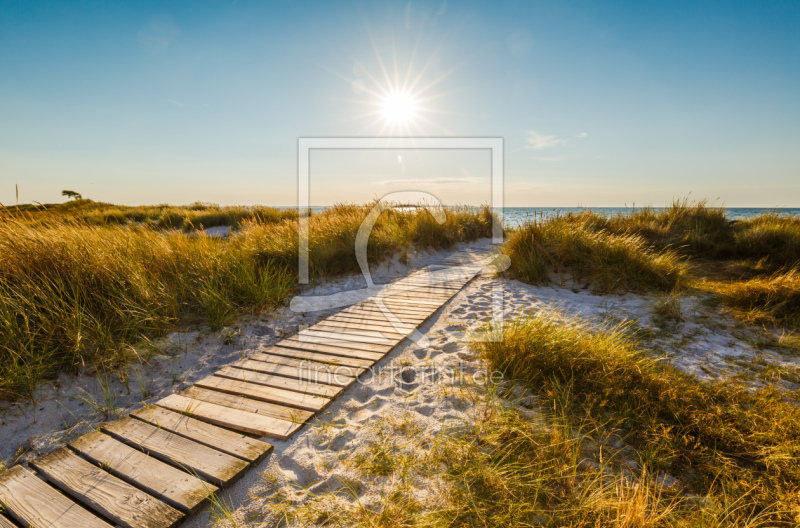 frei wählbarer Bildausschnitt für Ihr Bild auf Leinwand