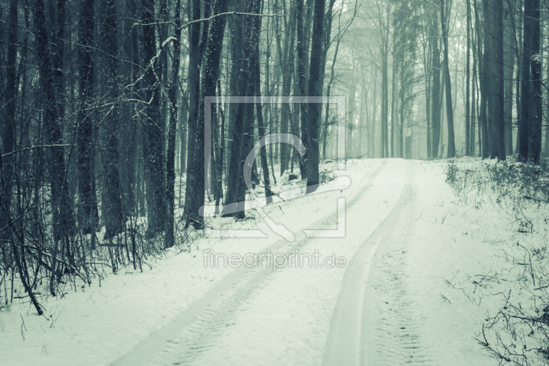 frei wählbarer Bildausschnitt für Ihr Bild auf Leinwand