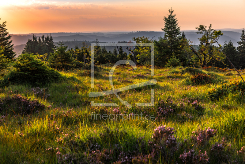 frei wählbarer Bildausschnitt für Ihr Bild auf Leinwand
