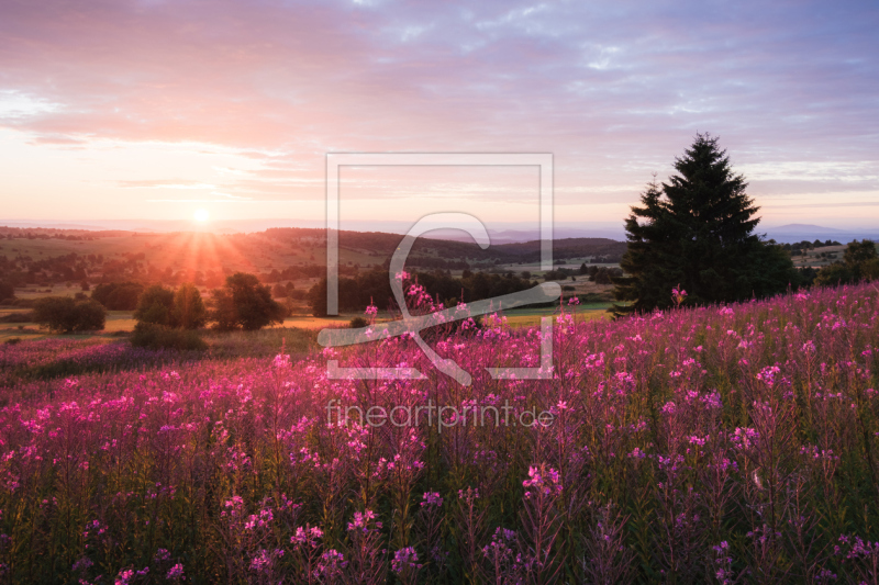 frei wählbarer Bildausschnitt für Ihr Bild auf Leinwand