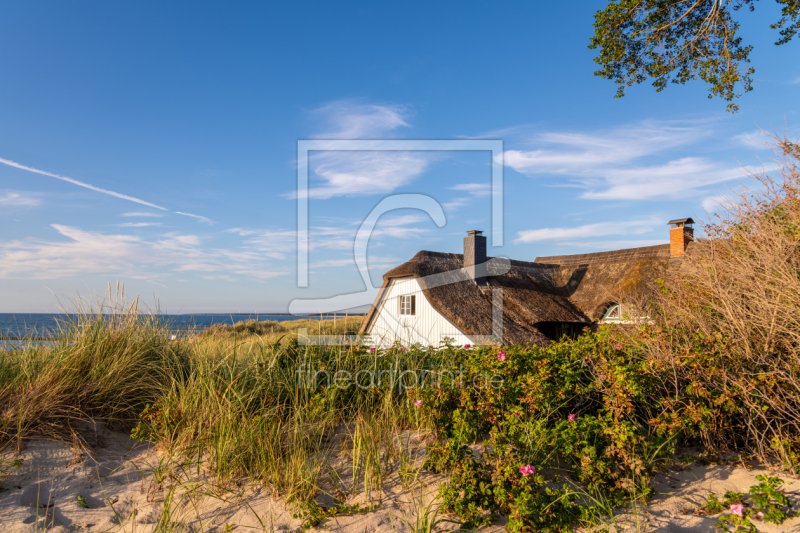 frei wählbarer Bildausschnitt für Ihr Bild auf Leinwand