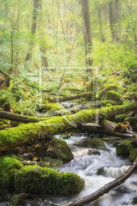 frei wählbarer Bildausschnitt für Ihr Bild auf Leinwand
