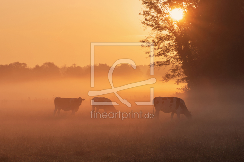 frei wählbarer Bildausschnitt für Ihr Bild auf Leinwand