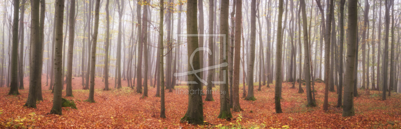 frei wählbarer Bildausschnitt für Ihr Bild auf Leinwand