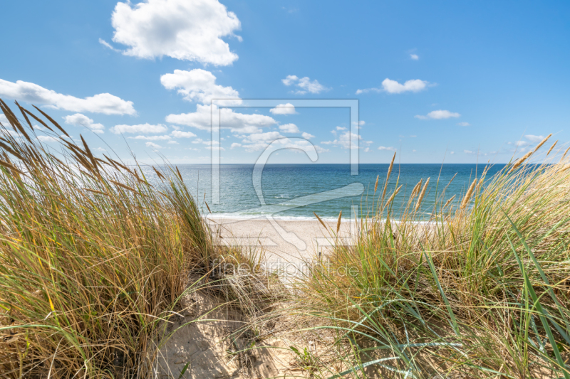 frei wählbarer Bildausschnitt für Ihr Bild auf Leinwand