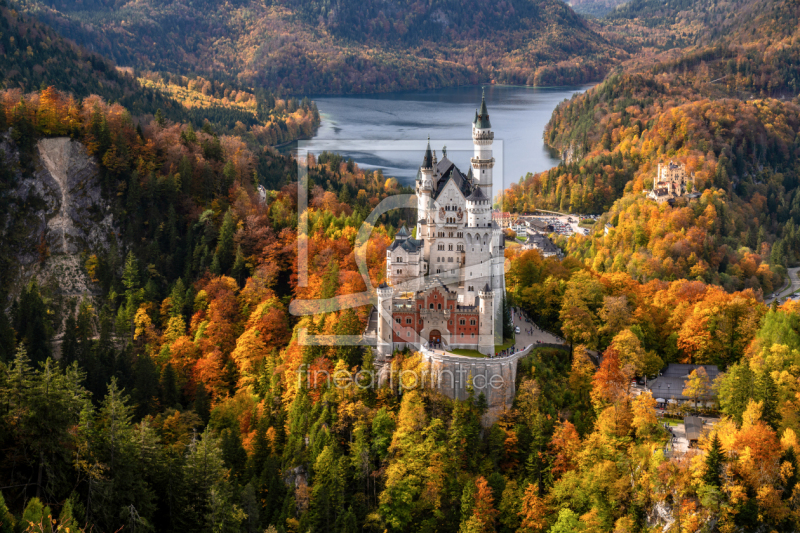 frei wählbarer Bildausschnitt für Ihr Bild auf Leinwand