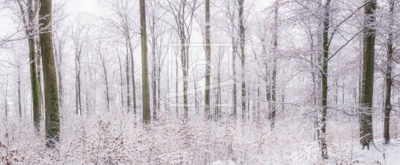 frei wählbarer Bildausschnitt für Ihr Bild auf Leinwand