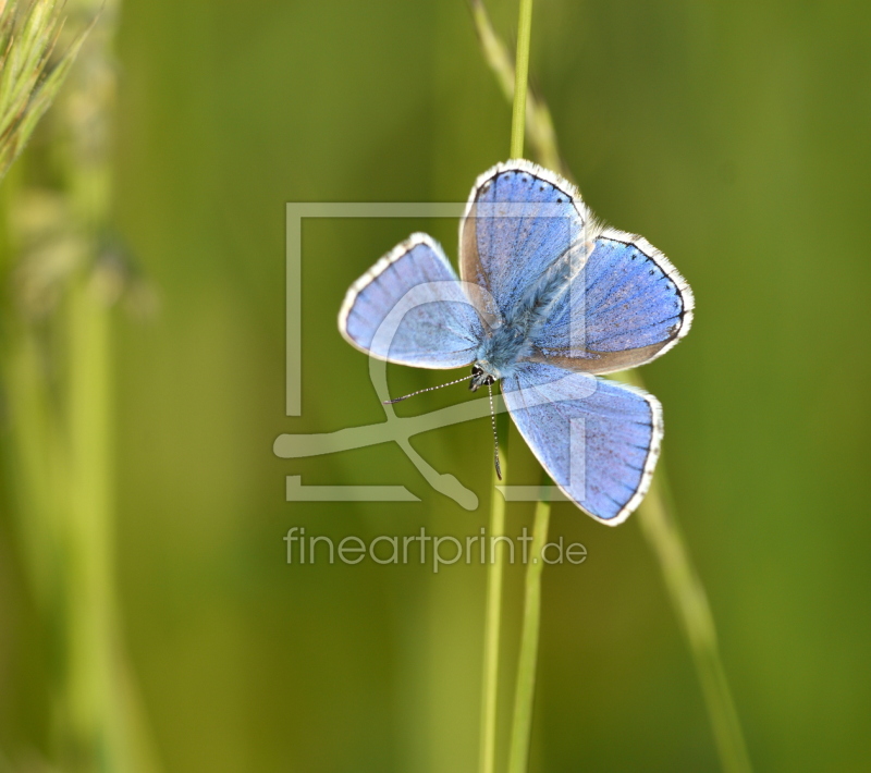 frei wählbarer Bildausschnitt für Ihr Bild auf Leinwand