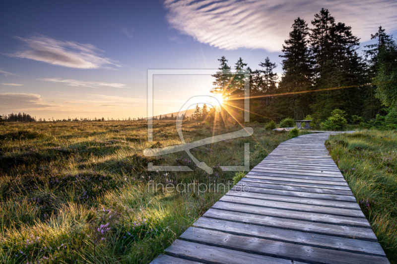 frei wählbarer Bildausschnitt für Ihr Bild auf Leinwand