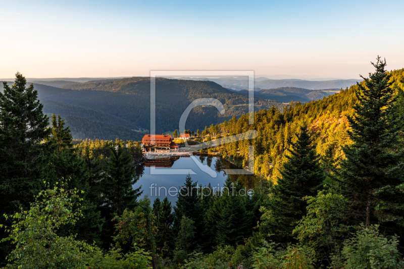 frei wählbarer Bildausschnitt für Ihr Bild auf Leinwand