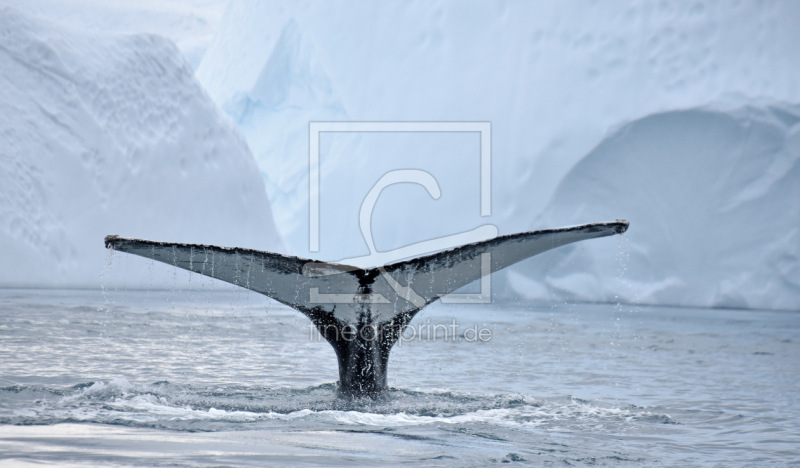 frei wählbarer Bildausschnitt für Ihr Bild auf Leinwand