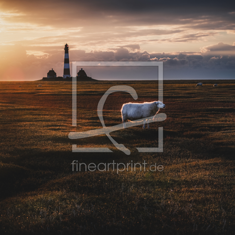 frei wählbarer Bildausschnitt für Ihr Bild auf Leinwand