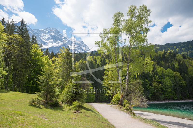 frei wählbarer Bildausschnitt für Ihr Bild auf Leinwand