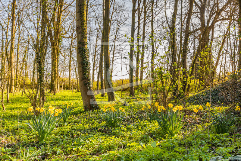 frei wählbarer Bildausschnitt für Ihr Bild auf Leinwand
