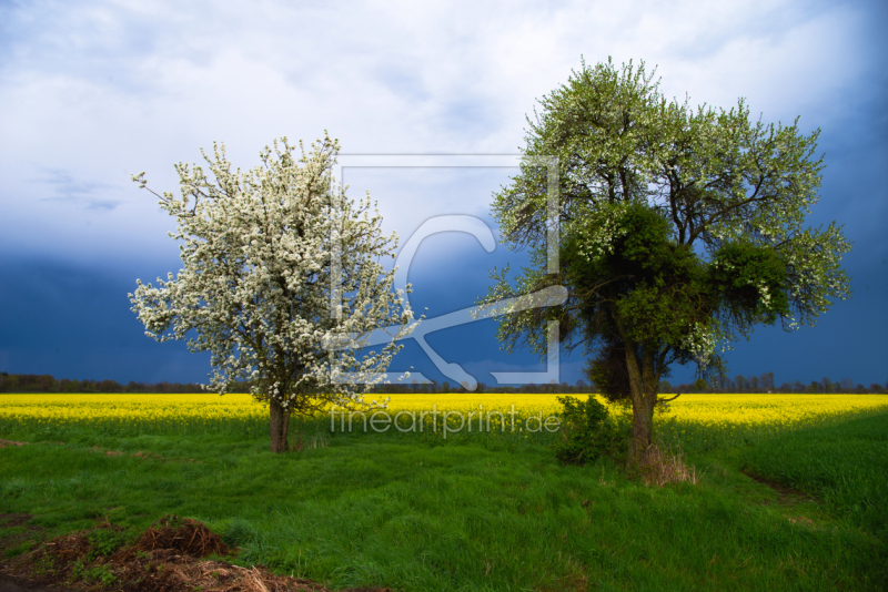 frei wählbarer Bildausschnitt für Ihr Bild auf Leinwand