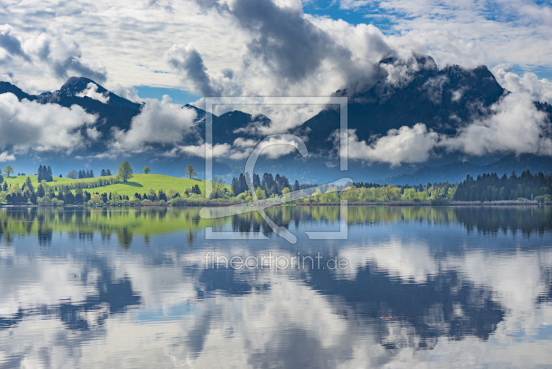 frei wählbarer Bildausschnitt für Ihr Bild auf Leinwand