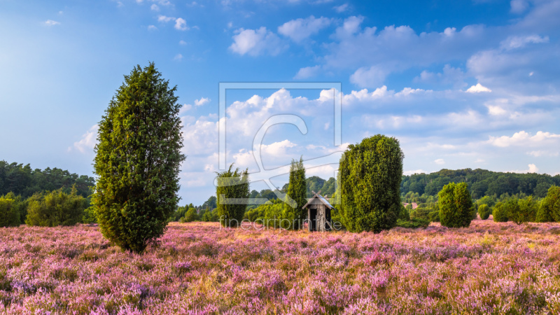 frei wählbarer Bildausschnitt für Ihr Bild auf Leinwand