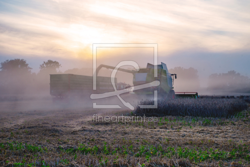 frei wählbarer Bildausschnitt für Ihr Bild auf Leinwand