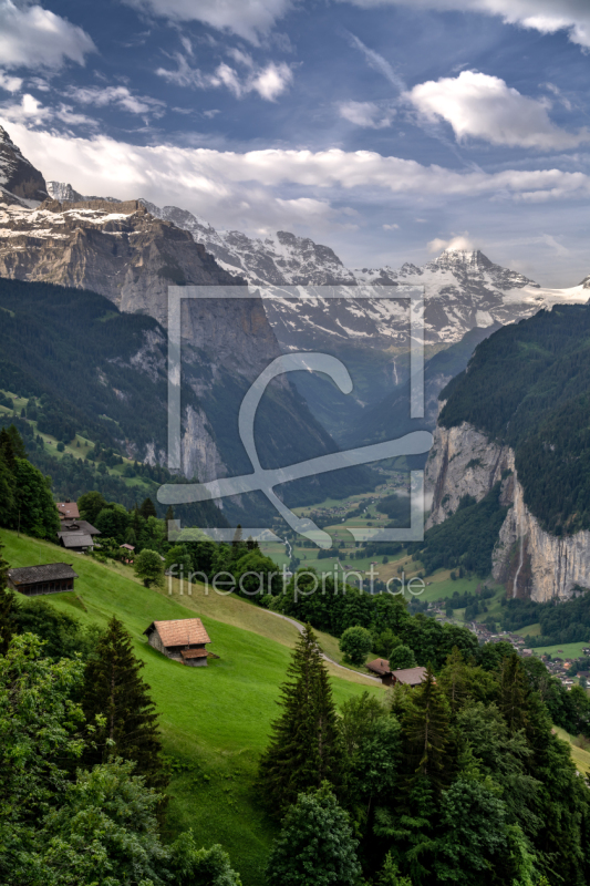 frei wählbarer Bildausschnitt für Ihr Bild auf Leinwand