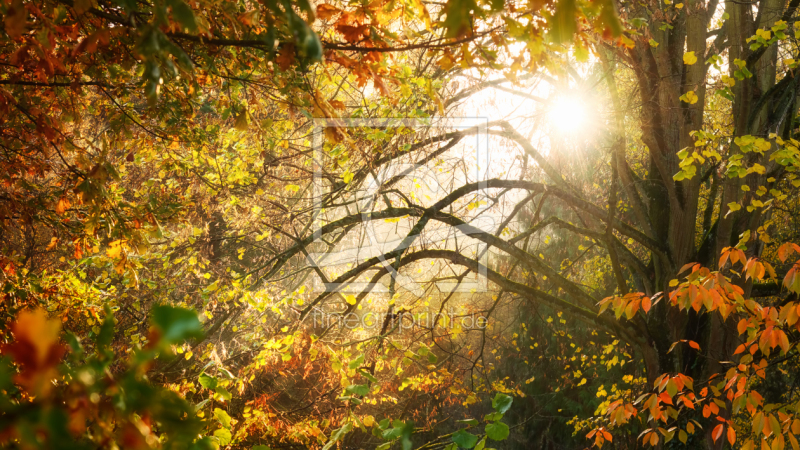 frei wählbarer Bildausschnitt für Ihr Bild auf Leinwand