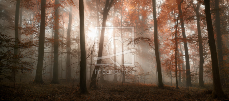 frei wählbarer Bildausschnitt für Ihr Bild auf Leinwand