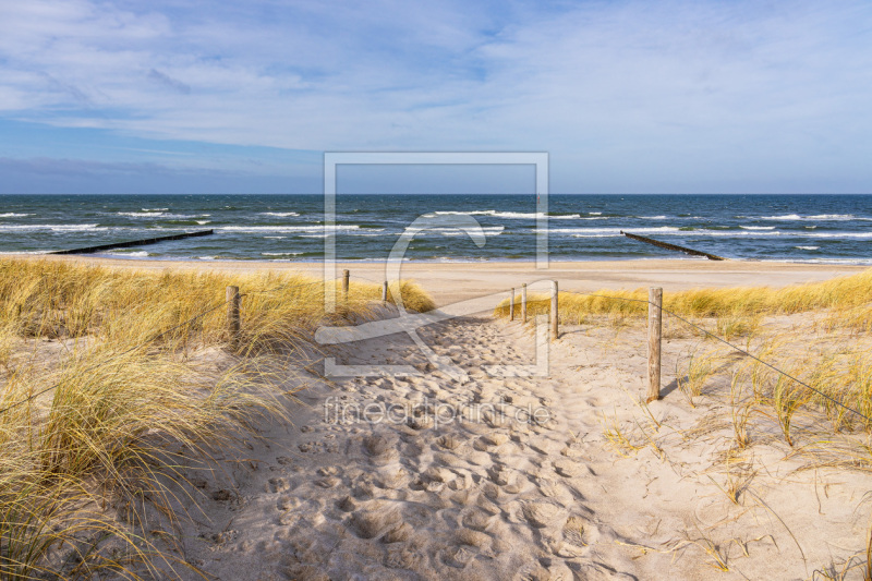 frei wählbarer Bildausschnitt für Ihr Bild auf Leinwand