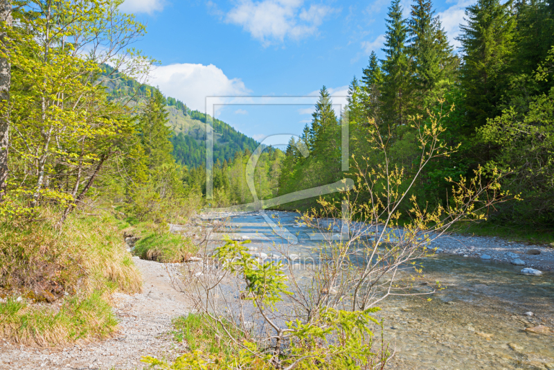 frei wählbarer Bildausschnitt für Ihr Bild auf Leinwand