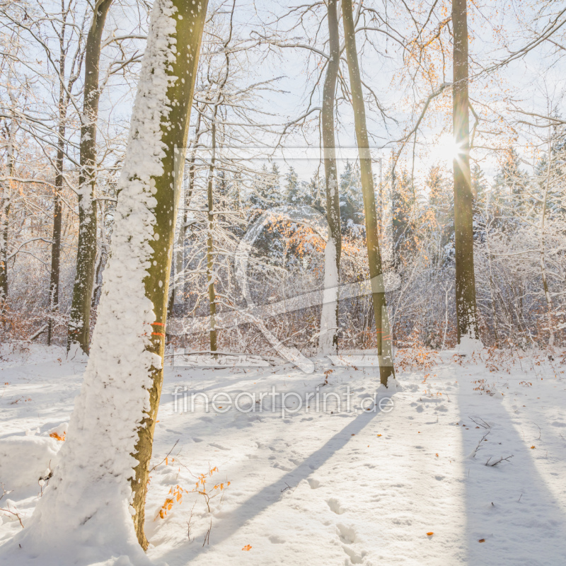 frei wählbarer Bildausschnitt für Ihr Bild auf Leinwand