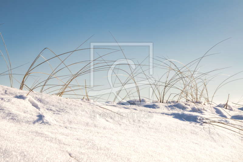 frei wählbarer Bildausschnitt für Ihr Bild auf Leinwand