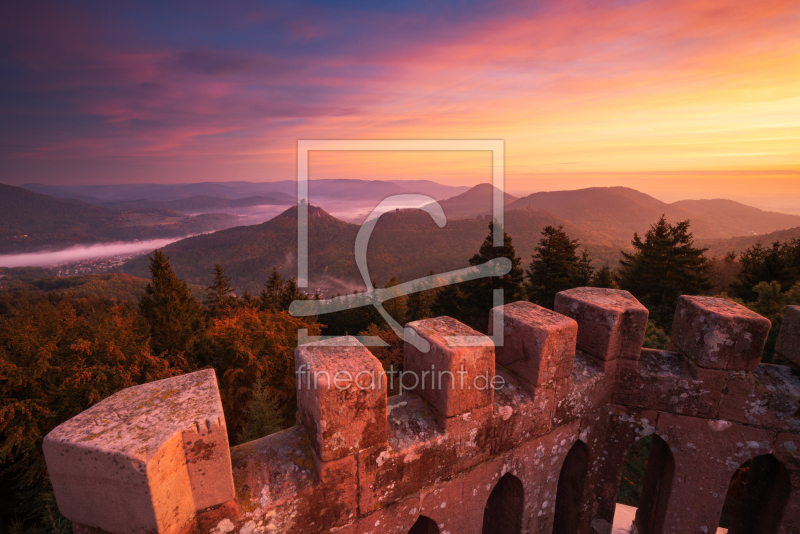 frei wählbarer Bildausschnitt für Ihr Bild auf Leinwand