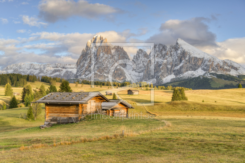 frei wählbarer Bildausschnitt für Ihr Bild auf Leinwand