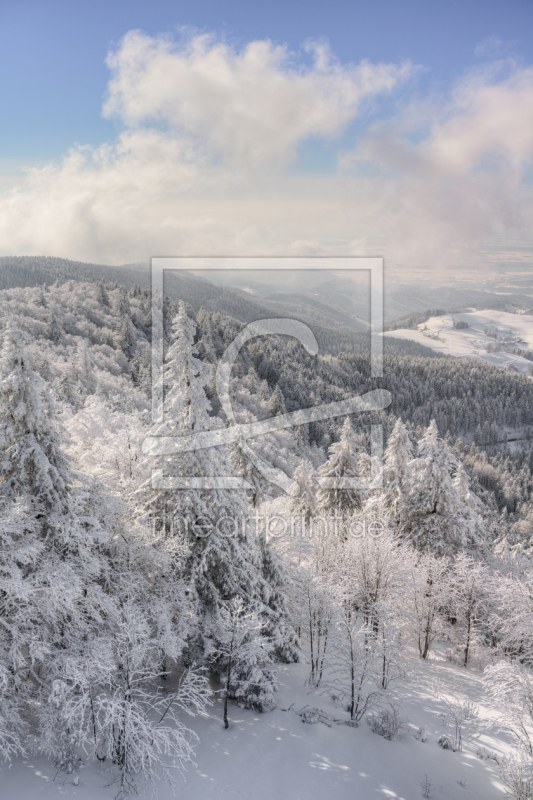 frei wählbarer Bildausschnitt für Ihr Bild auf Leinwand