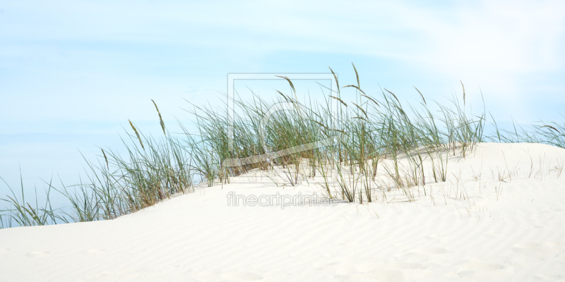 frei wählbarer Bildausschnitt für Ihr Bild auf Leinwand