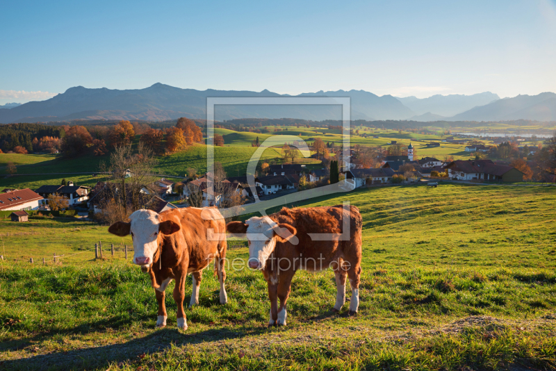 frei wählbarer Bildausschnitt für Ihr Bild auf Leinwand