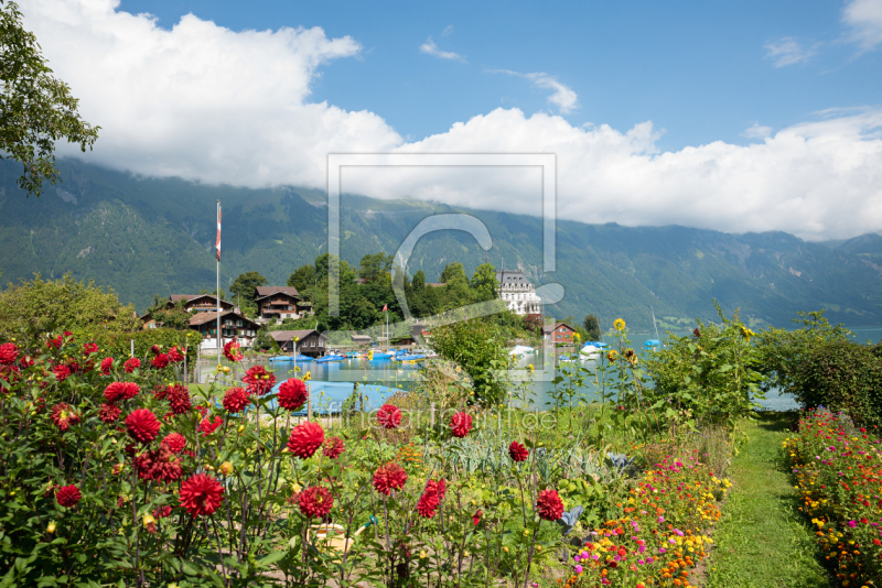 frei wählbarer Bildausschnitt für Ihr Bild auf Leinwand