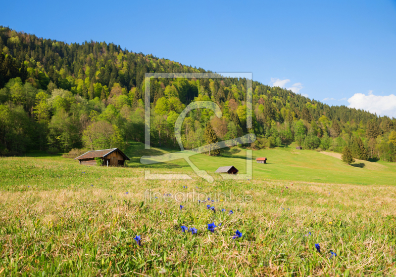frei wählbarer Bildausschnitt für Ihr Bild auf Leinwand