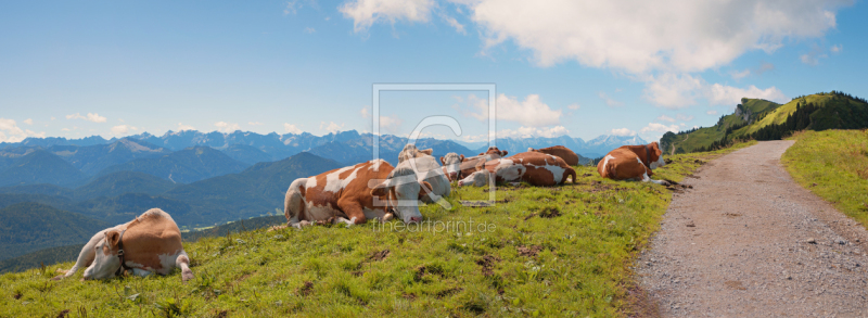 frei wählbarer Bildausschnitt für Ihr Bild auf Leinwand