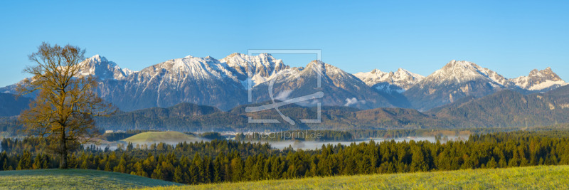 frei wählbarer Bildausschnitt für Ihr Bild auf Leinwand