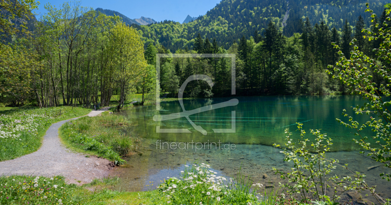 frei wählbarer Bildausschnitt für Ihr Bild auf Leinwand