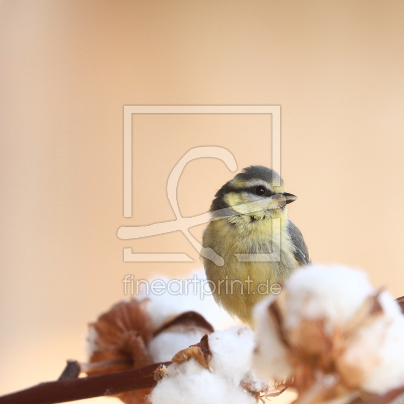 frei wählbarer Bildausschnitt für Ihr Bild auf Leinwand
