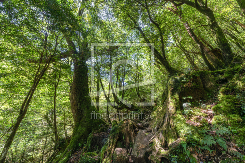 frei wählbarer Bildausschnitt für Ihr Bild auf Leinwand