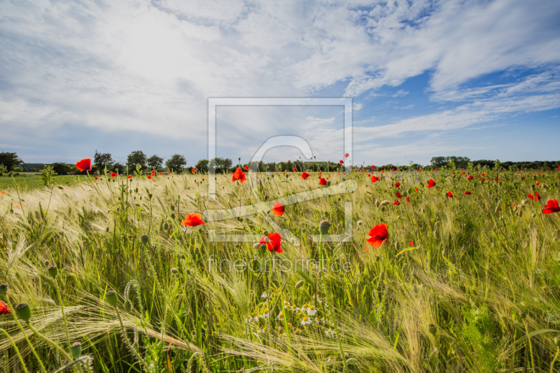 frei wählbarer Bildausschnitt für Ihr Bild auf Leinwand