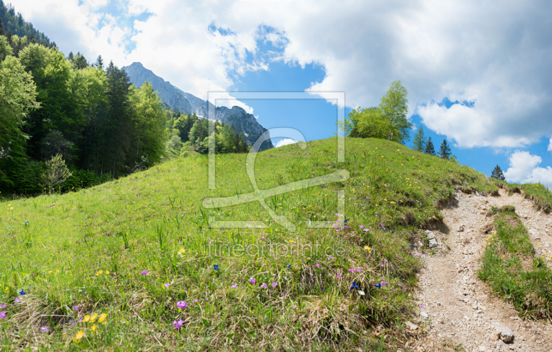 frei wählbarer Bildausschnitt für Ihr Bild auf Leinwand