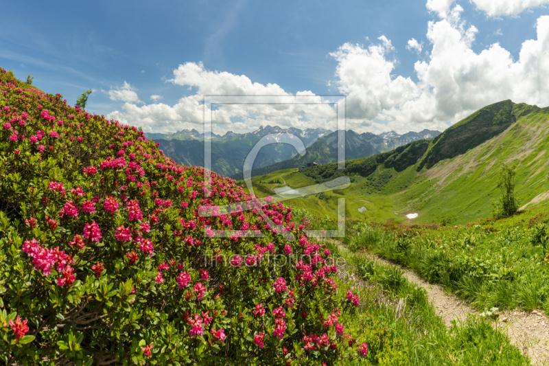 frei wählbarer Bildausschnitt für Ihr Bild auf Leinwand