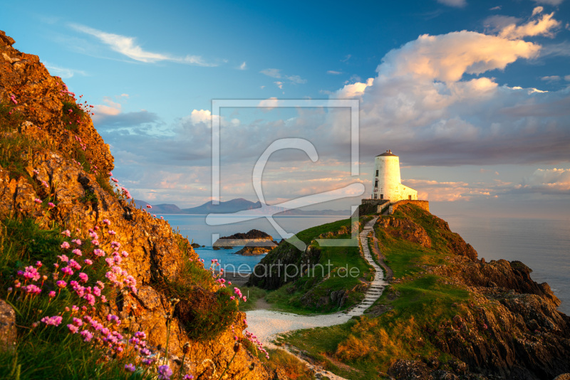 frei wählbarer Bildausschnitt für Ihr Bild auf Leinwand