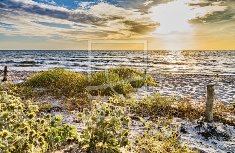 frei wählbarer Bildausschnitt für Ihr Bild auf Leinwand