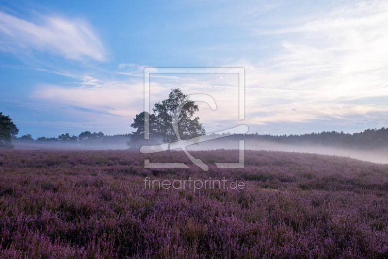 frei wählbarer Bildausschnitt für Ihr Bild auf Leinwand